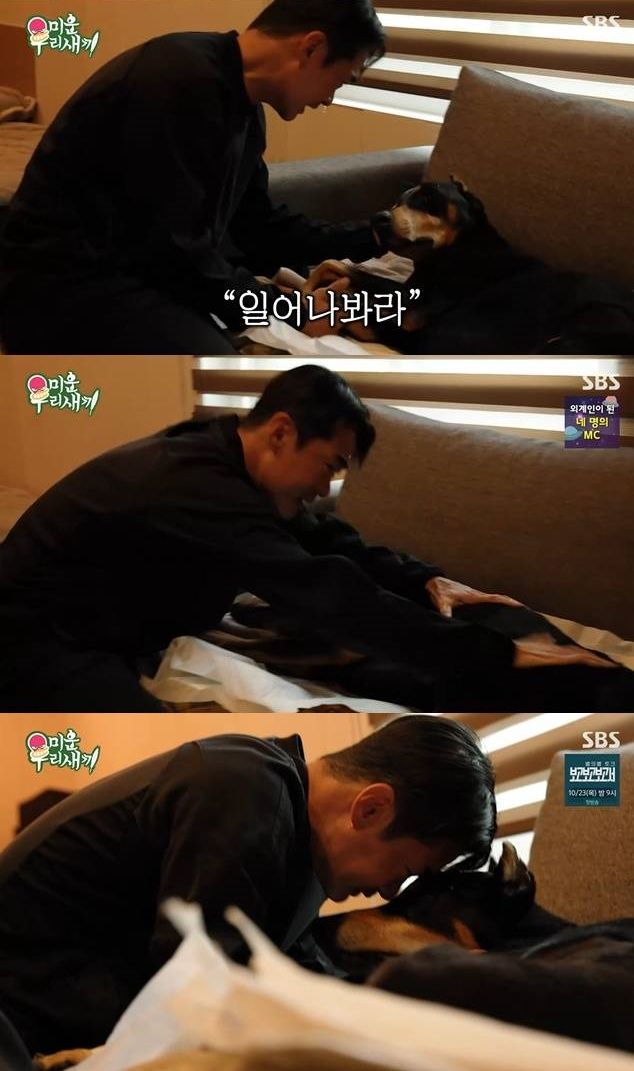 배정남