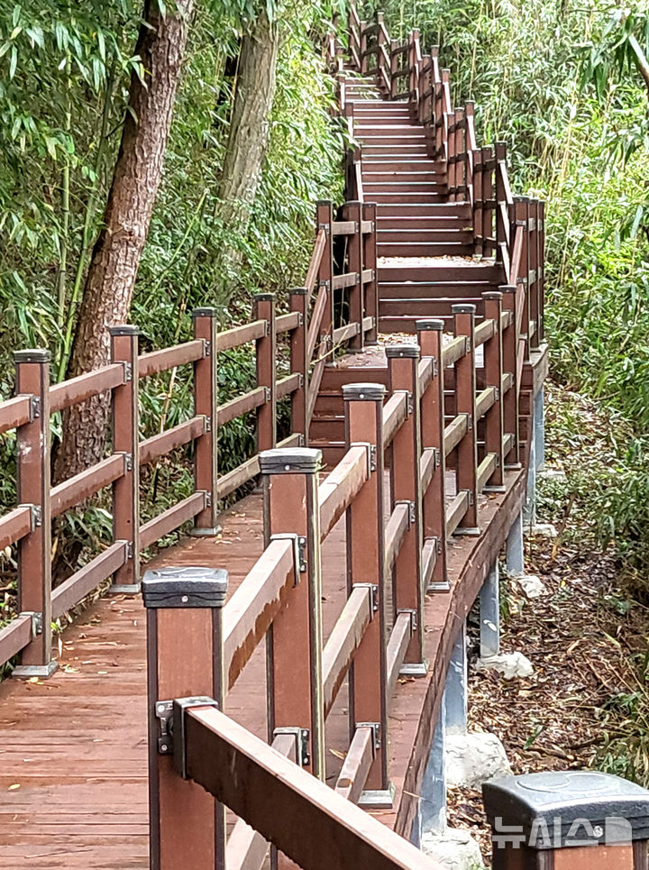 [나주=뉴시스] 이창우 기자=오르락내리락 걷는 재미가 있는 '나주호 둘레길' 2구간 데크길 모습. 2025.09.18. lcw@newsis.com