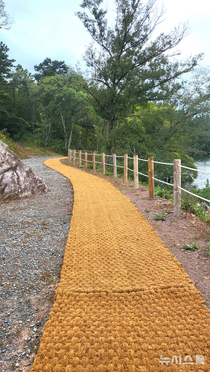 [나주=뉴시스] 이창우 기자=부드러운 야자매트가 깔린 '나주호 둘레길' 2구간 임도 모습. 2025.09.18. lcw@newsis.com