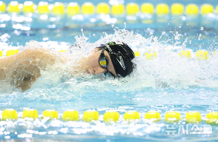 [부산=뉴시스] 황준선 기자 = 황선우(강원도청)이 19일 부산 동래구 부산사직종합운동장 실내수영장에서 열린 제106회 전국체육대회 경영 남자 일반부 계영 800m에서 역영하고 있다. 2025.10.19. hwang@newsis.com