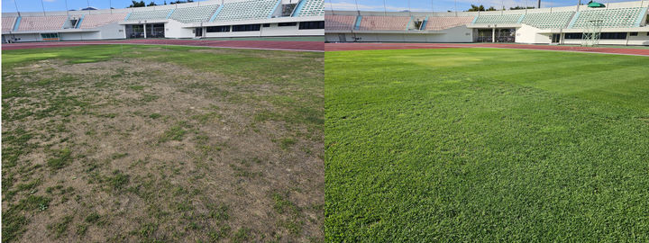 [밀양=뉴시스] 사진 왼쪽부터 밀양시종합운동장 축구장 잔디 오버시딩 공법 전과 후. (사진= 밀양시 제공) 2025.10.20. photo@newsis.com *재판매 및 DB 금지