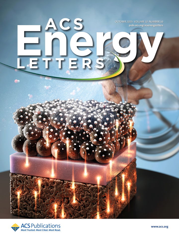 [서울=뉴시스] 공동연구팀의 연구가 ACS 에너지 레터스 표지 논문으로 선정됐다. 사진은 표지 이미지. (사진=성균관대 제공) 2025.10.20. photo@newsis.com *재판매 및 DB 금지