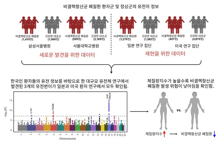 [서울=뉴시스] 비결핵항산균 폐질환 연구 이미지. (사진=성균관대 제공) 2025.10.20. photo@newsis.com *재판매 및 DB 금지