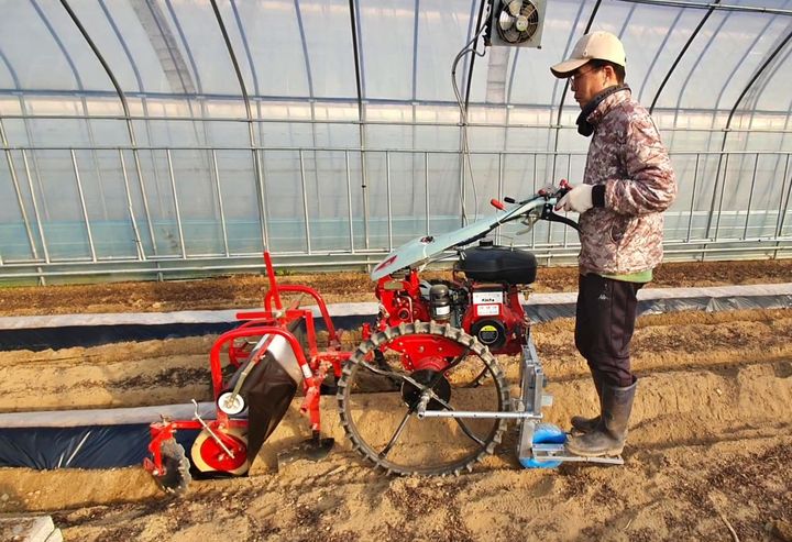 충북도농업기술원 유기농업연구소가 개발한 '비닐피목기 탈부착용 접이식 발판' 이용 모습. (사진=충북도농업기술원 제공) *재판매 및 DB 금지