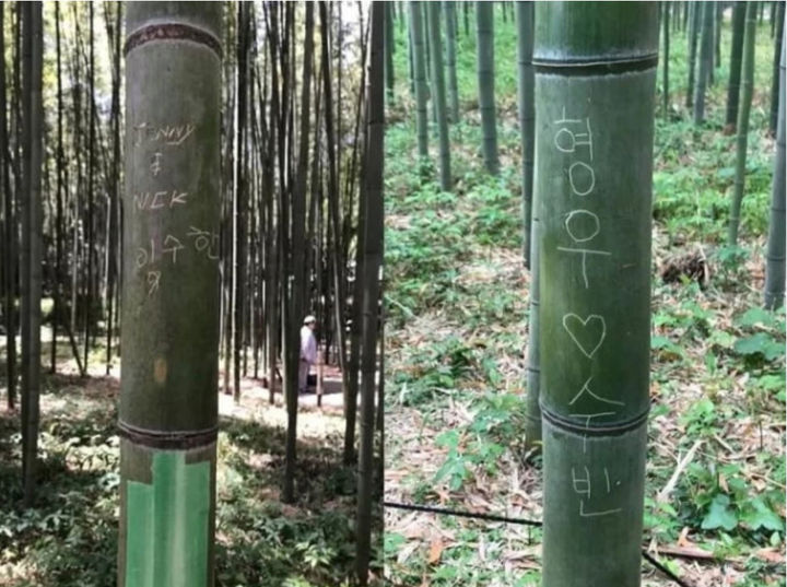 [서울=뉴시스] 일본 아라시야마 대나무 숲길에 새겨진 한글 낙서(사진=서경덕 교수팀 제공) 2025.10.21. photo@newsis.com *재판매 및 DB 금지 *재판매 및 DB 금지