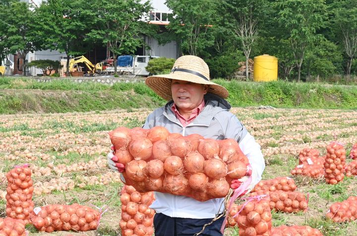 [창녕=뉴시스] 지난해 성낙인 군수가 양파 수확 농가를 방문해 일손돕기를 하고 있다. (사진= 창녕군 제공) 2025.10.21. photo@newsis.com *재판매 및 DB 금지
