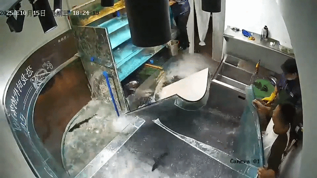 [뉴시스] 수족관이 깨지며 물고기들이 쏟아져 나오는 모습 (영상=뉴욕포스트) 2025.10.21. *재판매 및 DB 금지