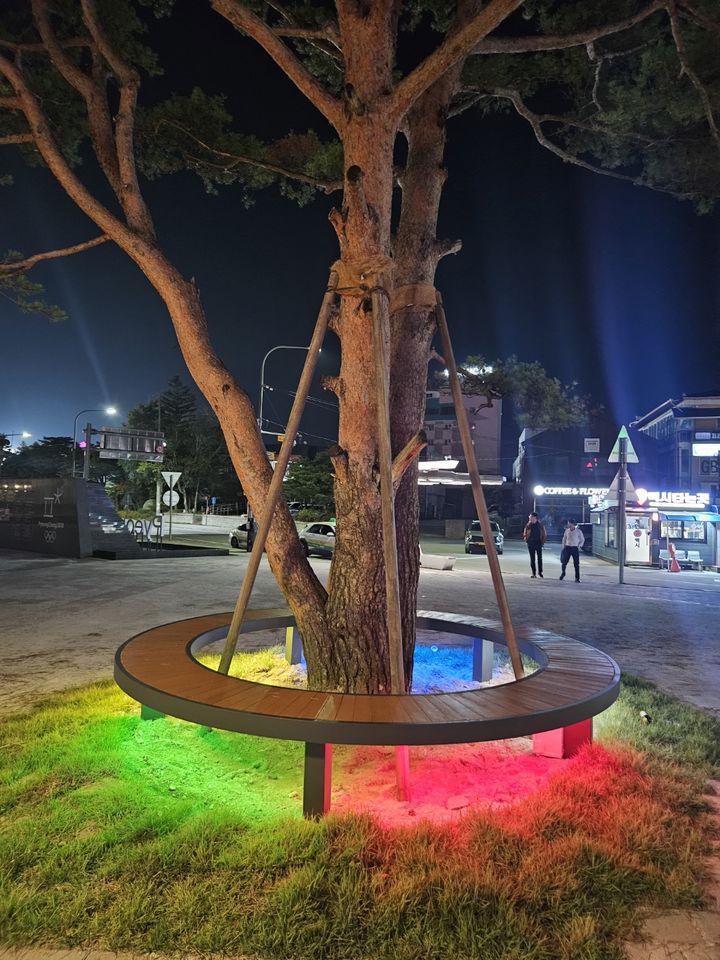 [평창=뉴시스 올림픽소나무 표지석과 벤치설치 모습. (사진=평창군 제공) 2025.10.21. photo@newsis.com *재판매 및 DB 금지