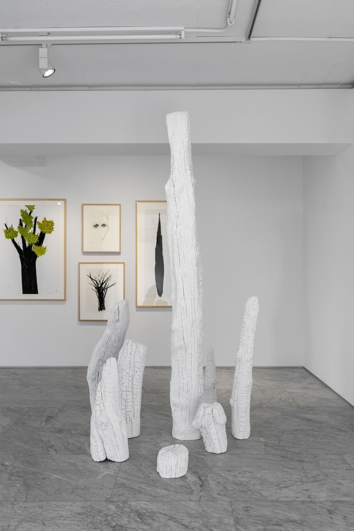 PKM갤러리 정현 개인전 전시 전경. *재판매 및 DB 금지