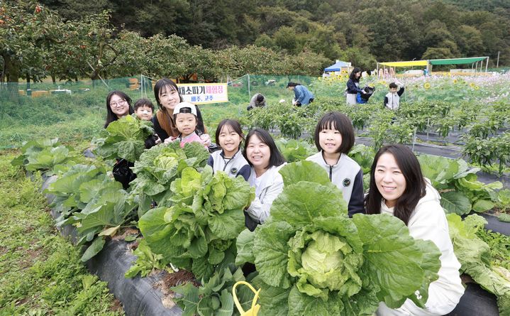 청도군, 친환경농업체험마을 운영 (사진=청도군 제공) *재판매 및 DB 금지