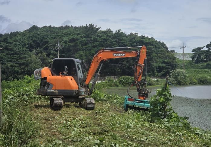영광군 농업용 저수지 제방 잡목제거 모습. (사진=영광군 제공) photo@newsis.com *재판매 및 DB 금지