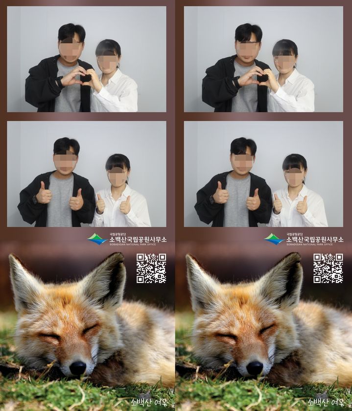  [영주=뉴시스] 소백산국립공원 삼가야영장 내 포토부스 출력물 (사진=소백산국립공원사무소 제공) 2025.10.21. photo@newsis.com *재판매 및 DB 금지