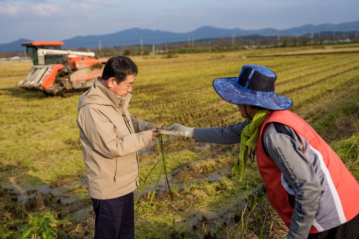 [증평소식]이재영 군수, 가을장마 피해 농가 현장점검 등