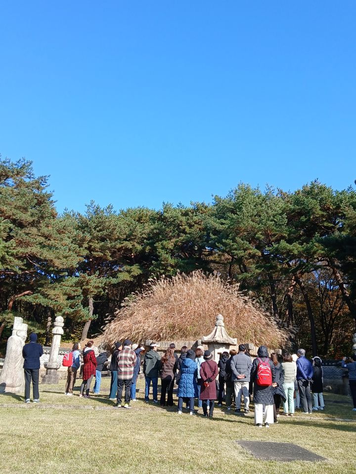 건원릉 능침 위에 무르익은 억새(사진=국가유산청 제공) 2025.10.22. photo@newsis.com *재판매 및 DB 금지 *재판매 및 DB 금지