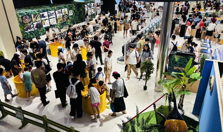 지난 7월 서울 용산 HDC아이파크몰에서 진행된 여주곤충박물관 팝업스토어 전경. (사진=아이파크몰 제공) *재판매 및 DB 금지