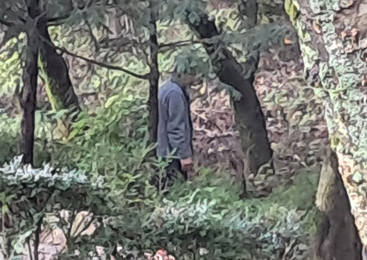 지난 21일 태백시 삼수동 싸리재터널 인근 공원의 공중화장실이 철거된 이후 용무가 급한 사람들이 으슥한 곳에서 용변을 보고 있다.(사진=독자 제공) *재판매 및 DB 금지