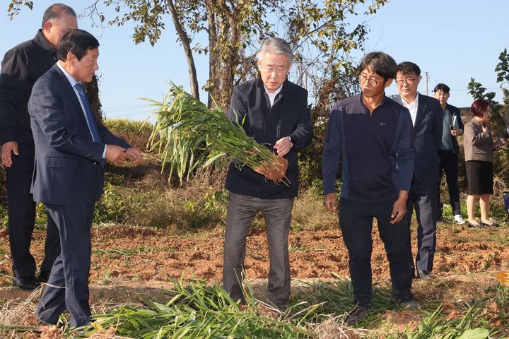 [세종=뉴시스] 사진은 강호동 농협중앙회장이 생강 수확기 전북 익산 재배농가를 방문한 모습. (사진=농협 제공) 2025.10.23. photo@newsis.com *재판매 및 DB 금지