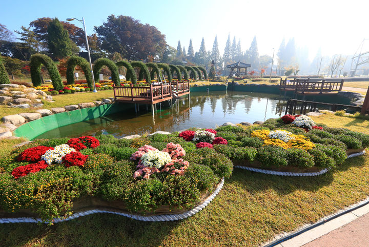 [당진=뉴시스] 지난해 10월23일 충남 당진 합덕농촌테마공원에서 열린 국화전시회. (사진=당진시 제공) 2025.10.23. photo@newsis.com *재판매 및 DB 금지