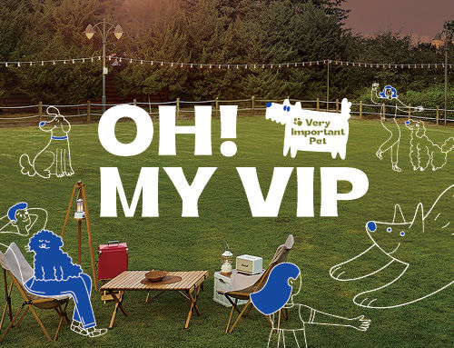 내달 1~2일 워커힐 호텔앤리조트 포레스트 파크에서 반려견과 함께하는 ‘2025 OH MY VIP’ 행사가 열린다. (사진 = 워커힐 호텔앤리조트 제공) *재판매 및 DB 금지