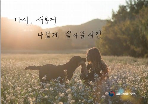 [서울=뉴시스] 임규성 강원함께한걸음센터장은 뉴시스와 서면 인터뷰에서 "마약 중독 회복의 최종 목적지는 '사회복귀'라고 밝혔다. 그는 중독자는 위험하다는 편견을 줄이기 위해 "중독자가 우리와 같은 사람으로 우리 주변에 존재한다는 것을 보여주는 것이 중요하다"라고 밝혔다. 사진은 회복자가 직접 쓴 손글씨를 활용해서 만든 캘리그라피 엽서. (사진=식약처 제공) 2025.10.24. photo@newsis.com *재판매 및 DB 금지