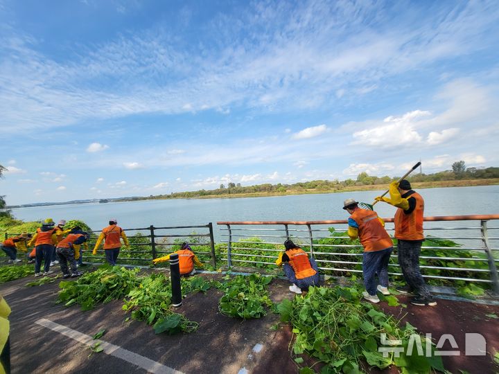 [평택=뉴시스] 평택시자원봉사센터 회원들이 내리문화공원에서 유해식물 제거 봉사활동을 벌이고 있는 모습(사진=평택시 제공) 2025.10.24.photo@newsis.com 