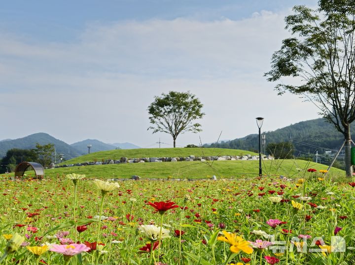 [안성=뉴시스] 금광호수 수석정 전경 (사진=안성시 제공) 2025.10,.24.photo@newsis.com 