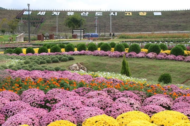 [고창=뉴시스] 전북 고창 꽃정원 풍경. (사진=뉴시스 DB). photo@newsis.com *재판매 및 DB 금지