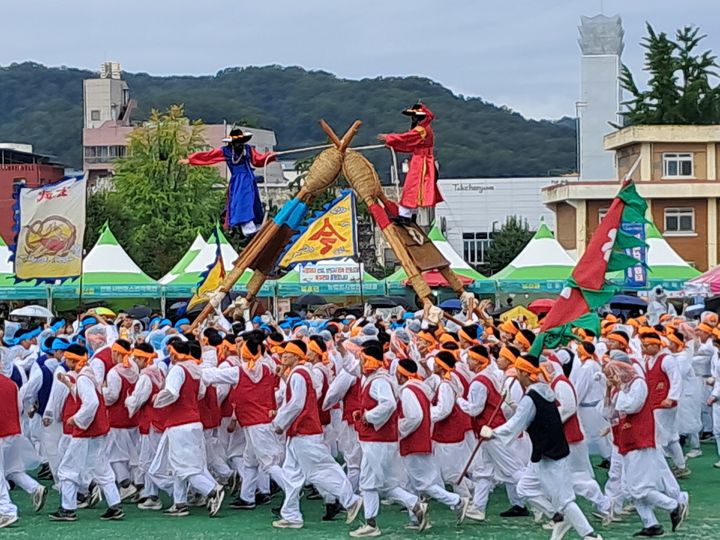[안동=뉴시스] 차전놀이 (사진=김우섭 안동차전놀이 전수자 제공) 2025.10.25 photo@newsis.com *재판매 및 DB 금지