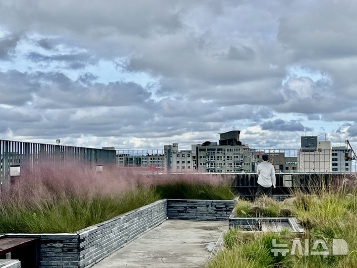 [제주=뉴시스] 제주지역 시민 정원사 등이 조성한 후 자발적으로 관리하고 있는 제주소통협력센터 옥상 정원. 제주시 원도심 풍경을 바꿀 수 있는 옥상 정원의 모델이라는 평가를 받고 있다. (사진=황아미 마을플랫폼 대표 제공) photo@newsis.com