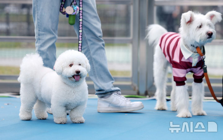 농식품부 A-벤처스에 AI 반려동물 관리 '프레쉬아워'…1년새 매출 3배↑