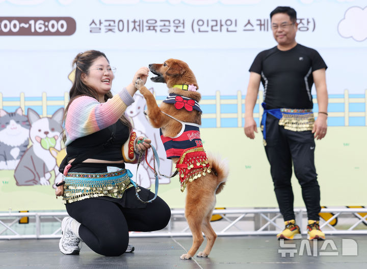 [서울=뉴시스] 김진아 기자 = 25일 서울 성동구 살곶이체육공원 인라인스케이트장에서 열린 제3회 성동구 반려동물 축제 '성동에서 놀다가개'에서 반려가족 펫션쇼에 참가한 반려견들이 장기자랑을 선보이고 있다. 행사는 반려가족 패션쇼, 강아지 안고 림보, 반려견 운동회 등 보호자와 반려견이 함께 즐길 수 있는 다채로운 프로그램을 마련했다. 또 부대행사로 유기동물 입양 홍보, 1:1 반려견 건강 및 행동 상담, 기초 위생·미용 등 홍보, 참여, 체험마당이 운영된다.2025.10.25. bluesoda@newsis.com