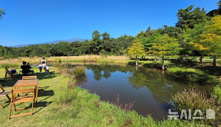 [제주=뉴시스] 임재영 기자 = 지난 11일 오전 제주 서귀포시 남원읍 신례리지역에 위치한 '담소요'. 마치 오름(작은화산체) 주변 들판의 풍경처럼 그래스와 사초류가 자리잡았고, 연못에는 반영이 비쳤다. 2025.10.27. ijy788@newsis.com