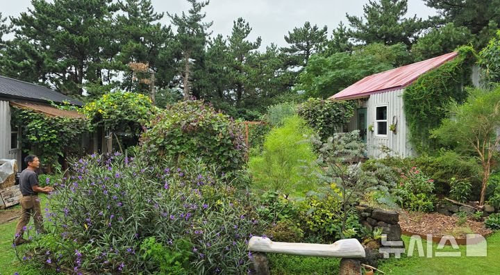 [제주=뉴시스] 임재영 기자 = 지난 16일 오전 제주시 한림읍 금능리에 위치한 도토리 캐빈은 채소, 유실수 등과 협력하는 동반식물로 '퍼머컬처' 정원을 이루고 있다. 2025.10.27. ijy788@newsis.com 