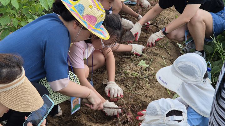 [대전=뉴시스] 조명휘 기자 = 대덕문화관광재단이 운영한 '팜스테이' 프로그램에 참가한 가족들이 소슬촌 농촌체험마을에서 농작물을 직접 수확하며 즐겁게 체험활동을 하고 있다. (사진= 대덕구 제공) 2025.10.26. photo@newsis.com *재판매 및 DB 금지