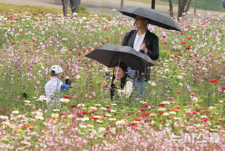 울산, 대체로 맑음…아침엔 7도·낮엔 14도