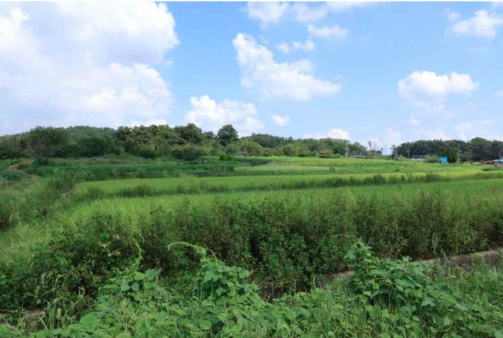 [서울=뉴시스] ‘군산 개사동 패총 (사진=국가유산청 제공)2025.10.27. photo@newsis.com *재판매 및 DB 금지