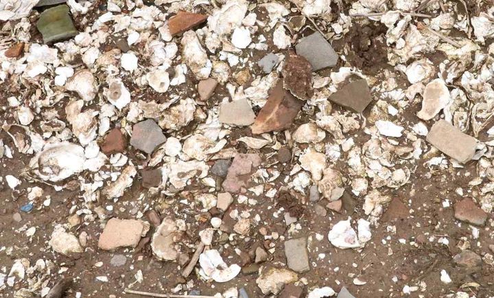 [서울=뉴시스] 군산 개사동 패총 (사진=국가유산청 제공)2025.10.27. photo@newsis.com *재판매 및 DB 금지