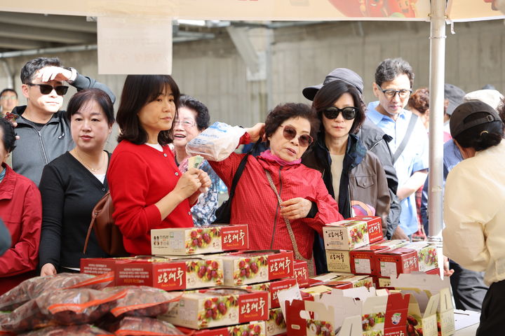[보은=뉴시스] 보은대추축제. (사진=뉴시스 DB). photo@newsis.com *재판매 및 DB 금지