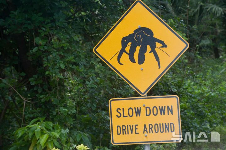 [서울=뉴시스] 붉은 게의 이동을 위해 감속을 안내하는 크리스마스 섬의 표지판 (사진=가디언) 2025.10.25. 