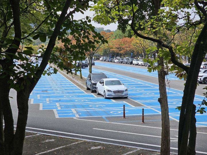 [뉴시스] (사진=온라인 커뮤니티 '보배드림' 캡처) *재판매 및 DB 금지 *재판매 및 DB 금지