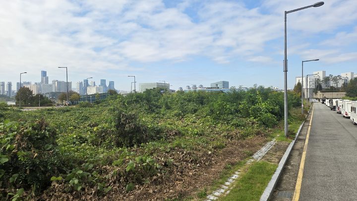 [세종=뉴시스] 송승화 기자 = 세종시 어진동 국무총리 공관 맞은편 1-5생활권 B4 단독주택 예정지에 잡초와 잔목들이 우거져 있다. 2025.10.27. ssong1007@newsis.com *재판매 및 DB 금지