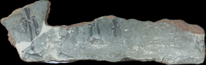 [서울=뉴시스] 국립중앙박물관 보존과학센터 금속실 (사진=국립중앙박물관 제공) 2025.02.28. photo@newsis.com *재판매 및 DB 금지