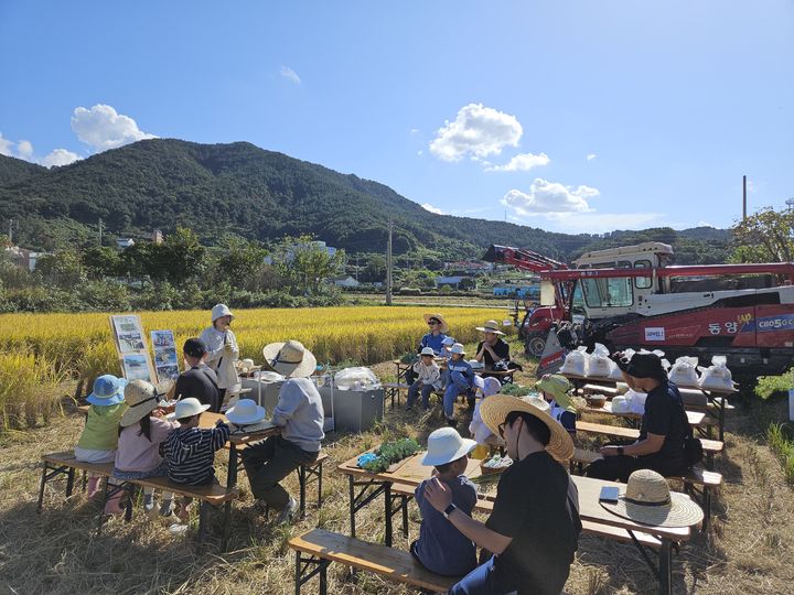[거제=뉴시스] 신정철 기자= 경남 거제시는 '거제 30인의 아빠단'의 다섯 번째 프로그램인 벼 수확 체험을 진행했다고 27일 밝혔다.사진은 지난 25일과 26일 거제면 들녁에서 쌀이 생산되는 전 과정을 배우고, 벼 베기·탈곡 등 수확의 과정을 직접 체험하는 아이와 아빠 모습.(사진=거제시 제공).2025.10.27. photo@newsis.com *재판매 및 DB 금지