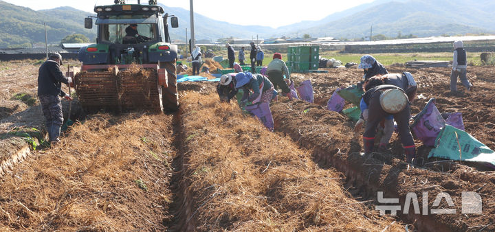 앞으로 밭고랑에도 토양처리제초제 사용 가능해진다 - 뉴스 썸네일 이미지