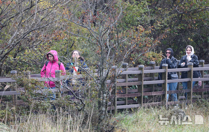 [제주=뉴시스] 우장호 기자 = 바람이 불어 쌀쌀한 날씨를 보인 27일 오전 제주 한라산 1100고지 습지에서 두툼한 옷차림을 한 외국인 관광객들이 추위를 피해 이동하고 있다. 기상청에 따르면 이날 한라산 윗세오름 아침 최저기온이 1.2도를 기록하는 등 체감기온이 영하권에 머물렀다. 2025.10.27. woo1223@newsis.com