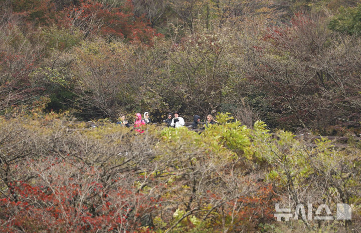 [제주=뉴시스] 우장호 기자 = 바람이 불어 쌀쌀한 날씨를 보인 지난달 27일 오전 제주 한라산 1100고지 습지에서 두툼한 옷차림을 한 외국인 관광객들이 추위를 피해 이동하고 있다. 2025.10.27. woo1223@newsis.com