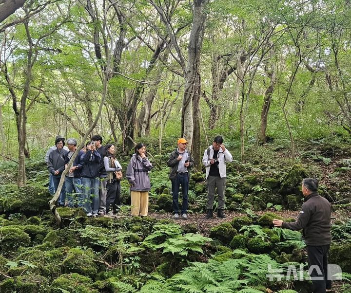 [제주=뉴시스] 제주시 조천읍 교래곶자왈 모습. (사진=뉴시스DB) photo@newsis.com