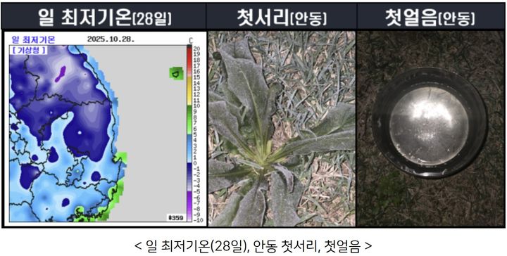 [대구=뉴시스] 대구와 경북 일부 지역에 한파특보가 발효된 가운데 안동에서 올가을 처음으로 서리와 얼음이 관측됐다. (사진=대구지방기상청 제공) 2025.10.28. photo@newsis.com *재판매 및 DB 금지