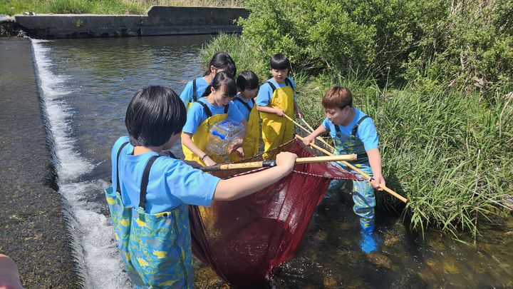 [창원=뉴시스]금반초 학생들이 엄천강 생물 다양성을 탐구하는 모습.(사진=경남교육청 제공) 2025.10.28.photo@newsis.com *재판매 및 DB 금지