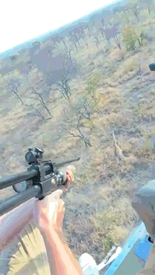 [뉴시스] 미스터비스트가 X(옛 트위터)에 게시한 기린을 다트 총으로 쏘는 모습. (사진=엑스캡처) 2025.10.27 *재판매 및 DB 금지